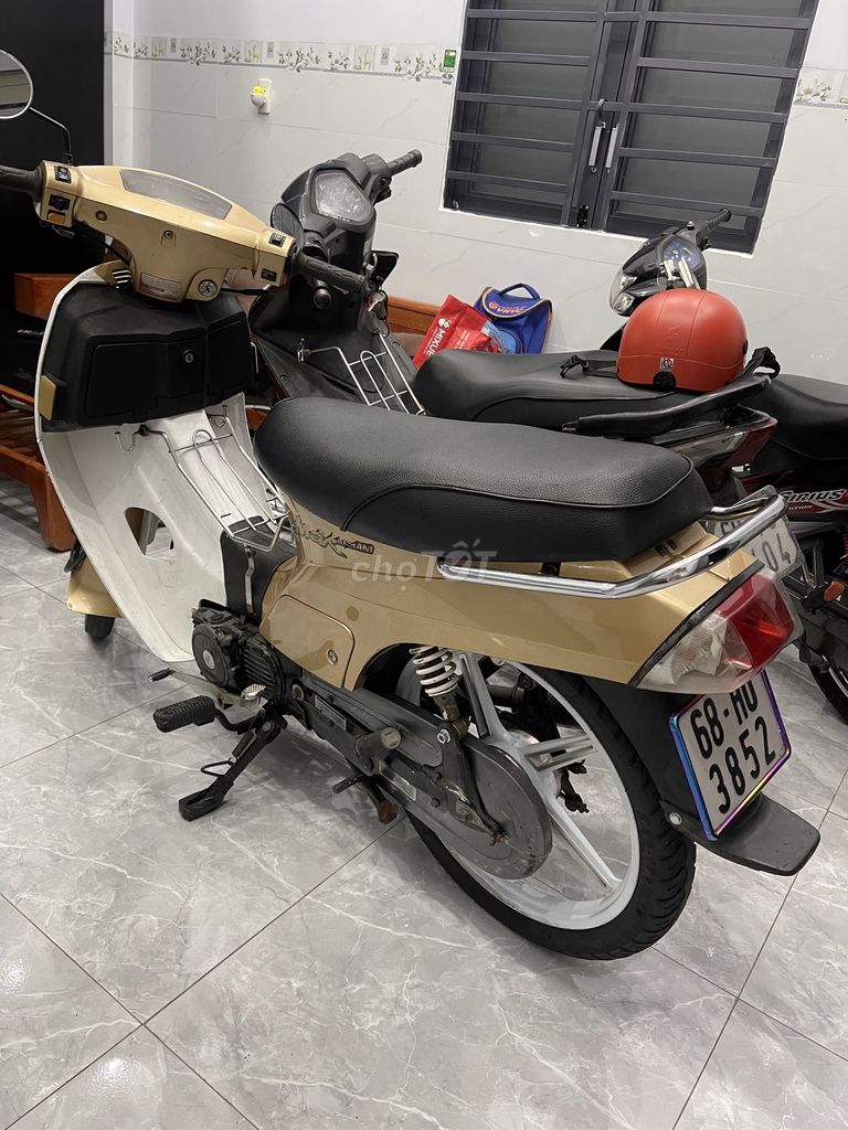Xe m 2010 - ảnh 2