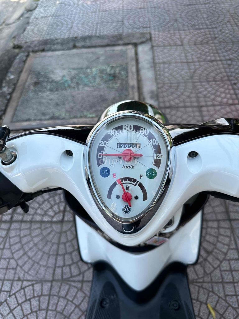 Yamaha Classico 2013 - ảnh 5