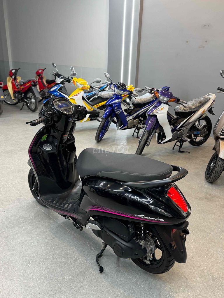 Yamaha 2024 - ảnh 5