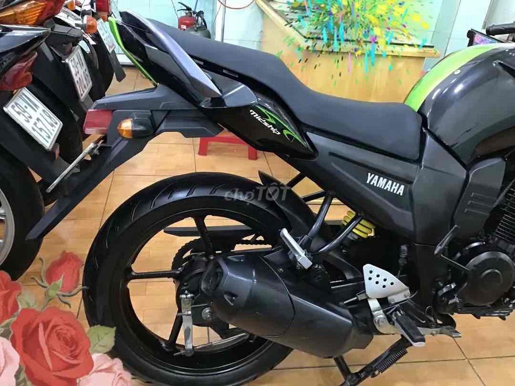 FZ 2013 - ảnh 3