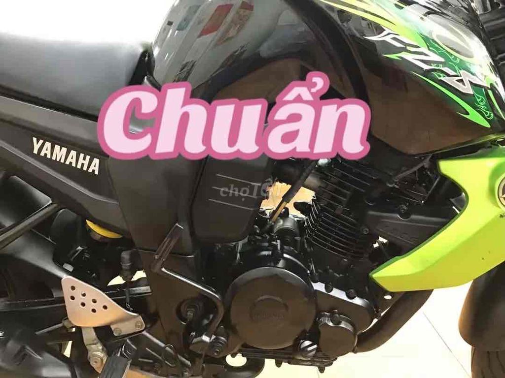FZ 2013 - ảnh 5