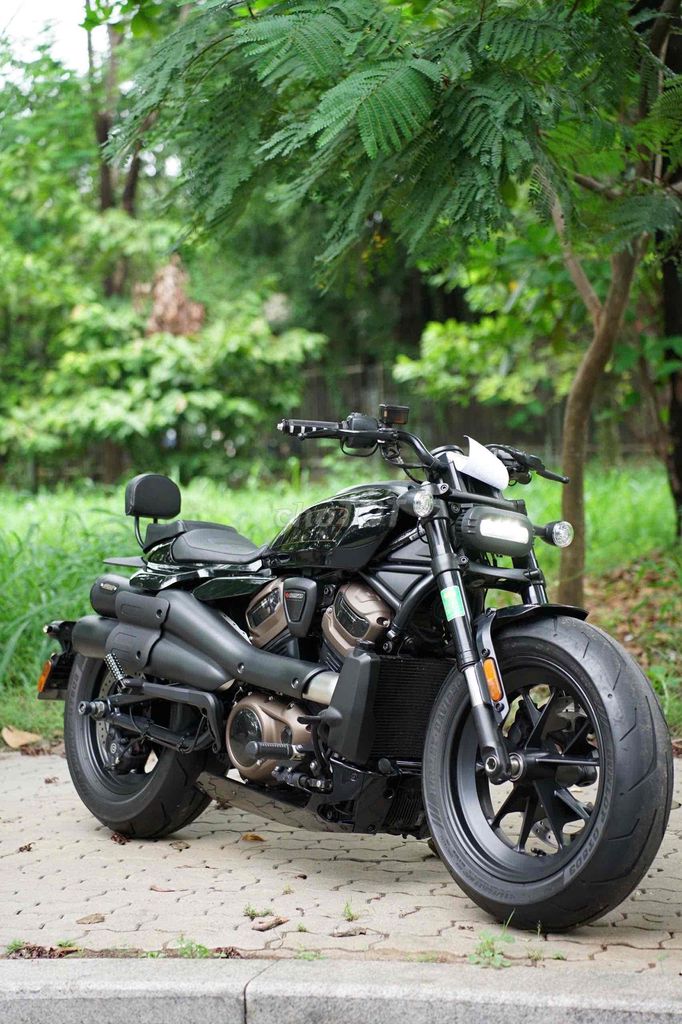 Harley 2021 - ảnh 1