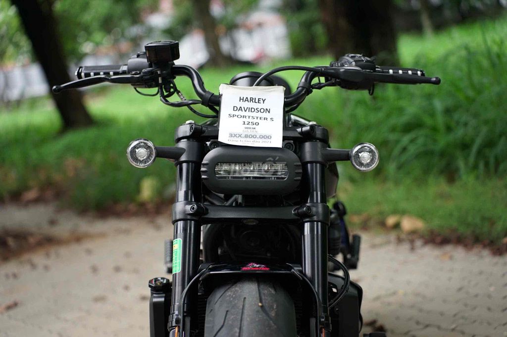 Harley 2021 - ảnh 3