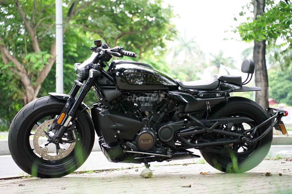 Harley 2021 - ảnh 5