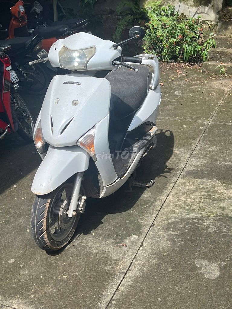 Honda Lead 2011 - ảnh 2