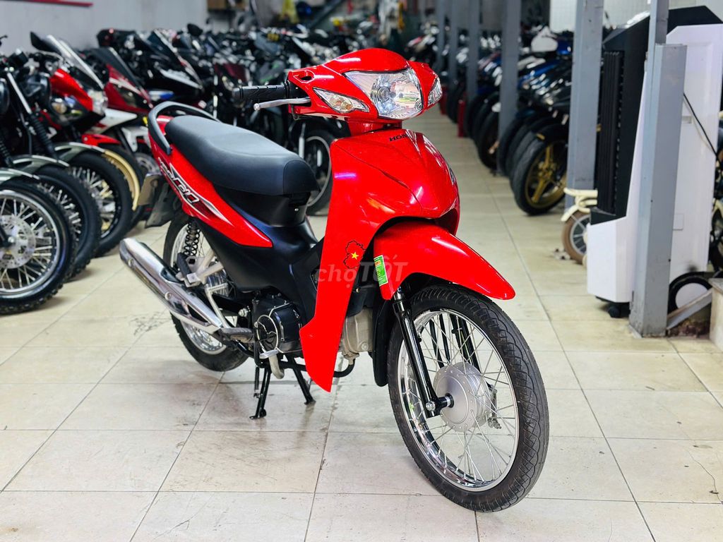XE M 2023 - ảnh 1