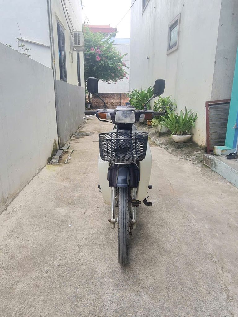 Honda Dream 2013 - ảnh 5