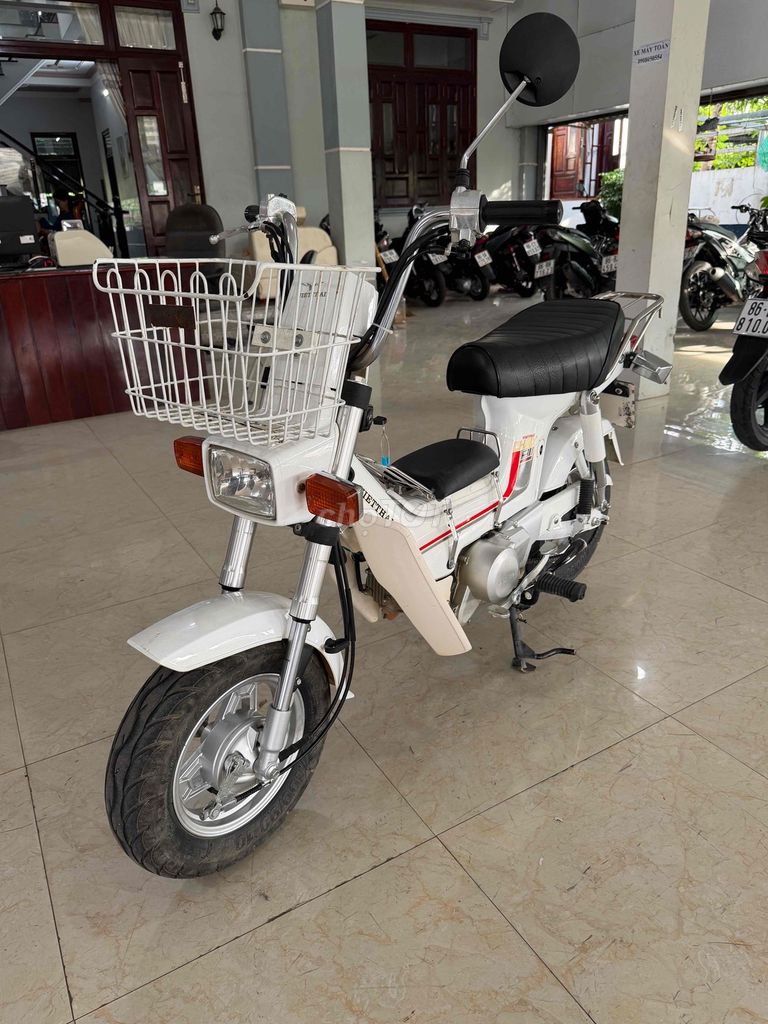 Xe m 2024 - ảnh 1