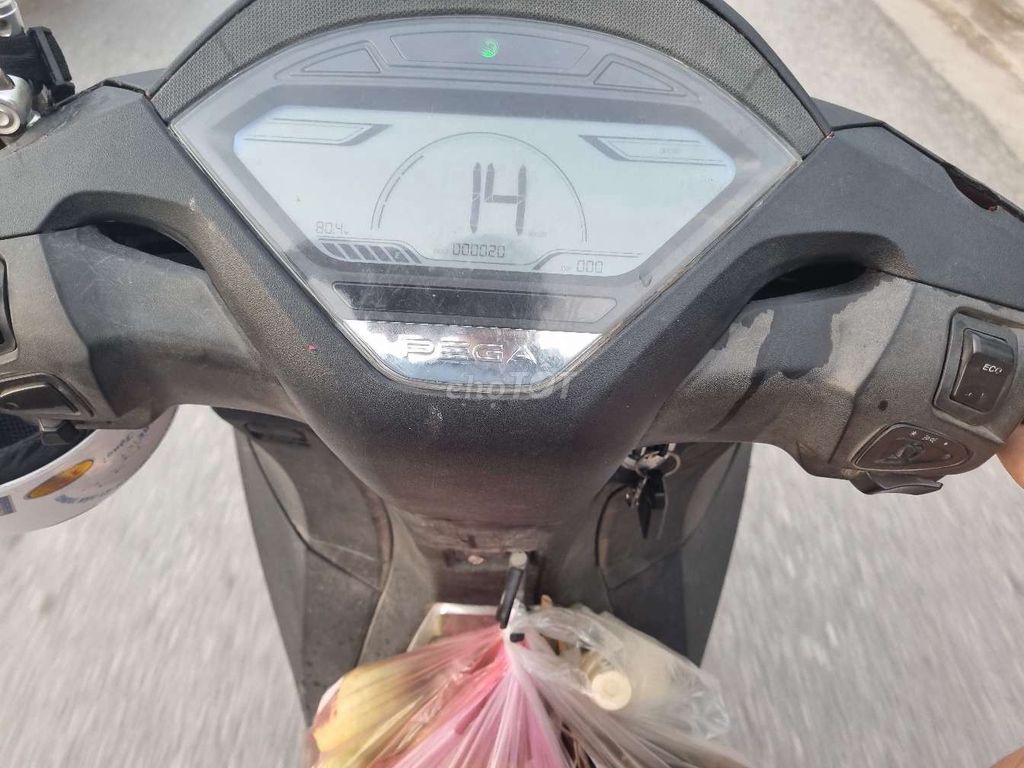 Pega 2020 - ảnh 1