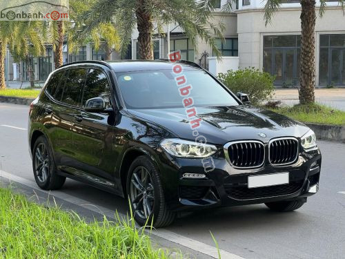 BMW X3 xDrive30i M Sport 2019 - ảnh 2