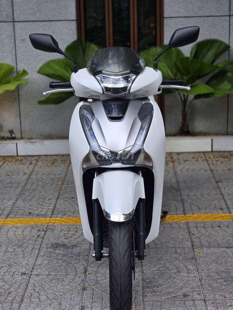 Honda SH 2019 - ảnh 2