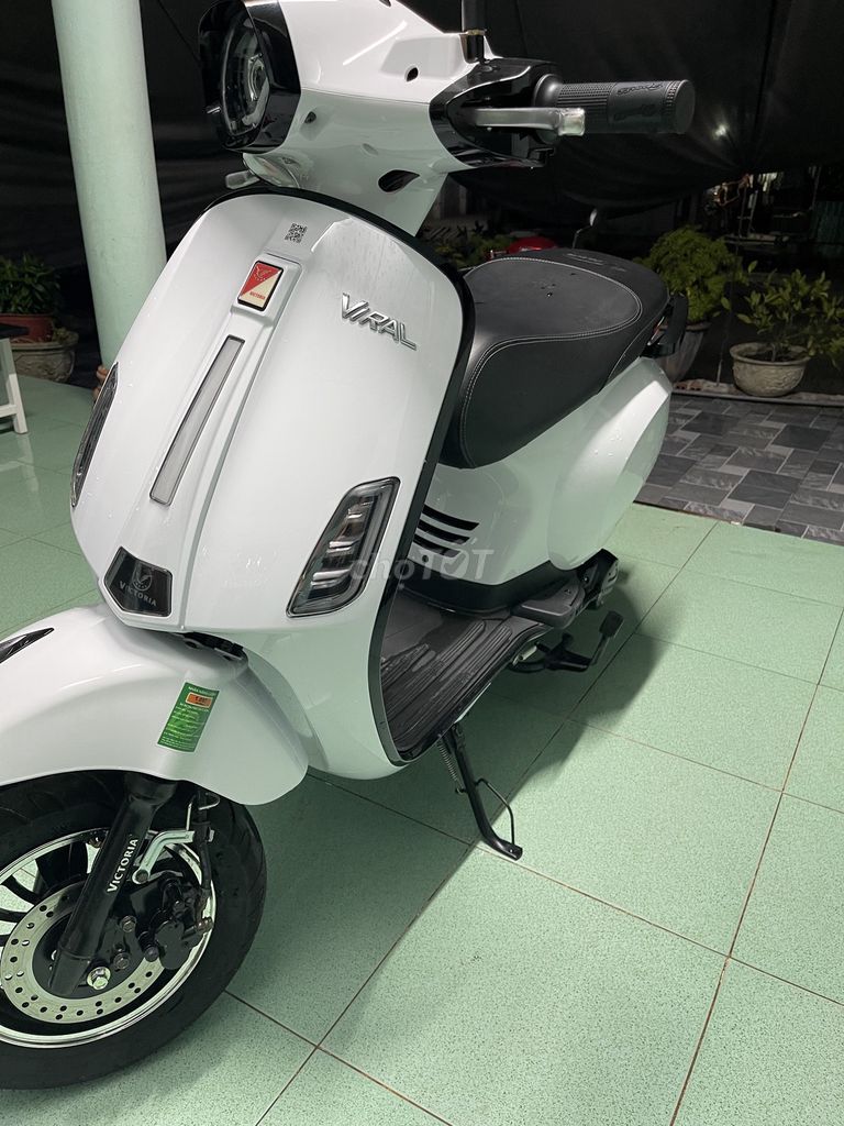 Xe m 2025 - ảnh 2