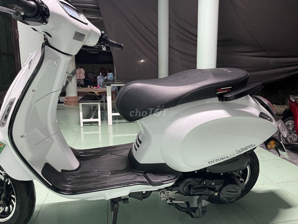 Xe m 2025 - ảnh 3