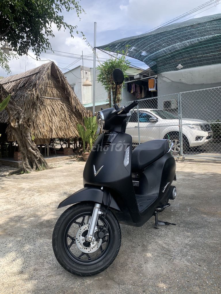Xe m 2024 - ảnh 1