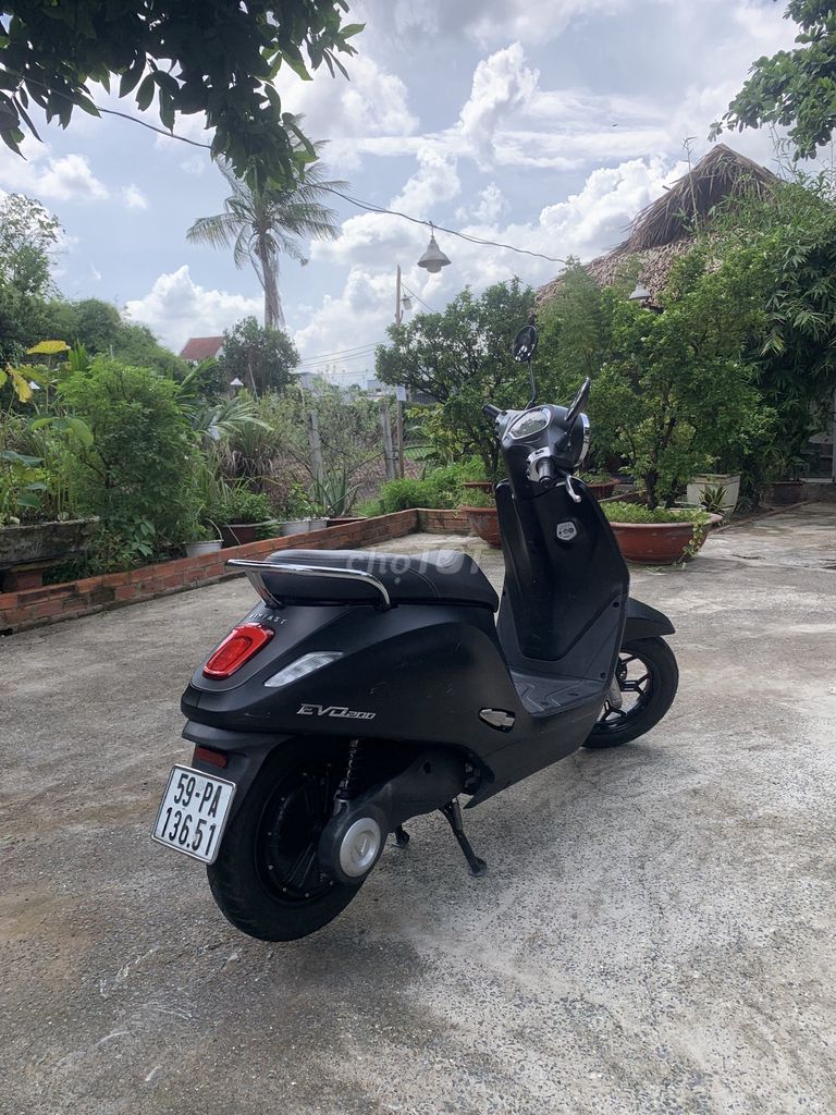 Xe m 2024 - ảnh 4