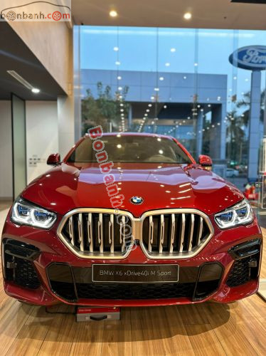 BMW X6 xDrive40i M Sport 2023 - ảnh 1