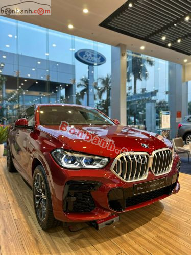 BMW X6 xDrive40i M Sport 2023 - ảnh 2