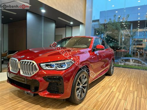 BMW X6 xDrive40i M Sport 2023 - ảnh 3