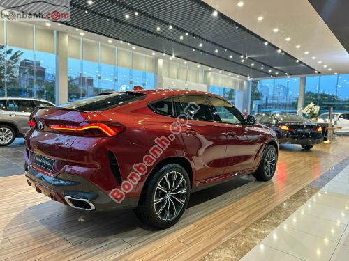 BMW X6 xDrive40i M Sport 2023 - ảnh 4
