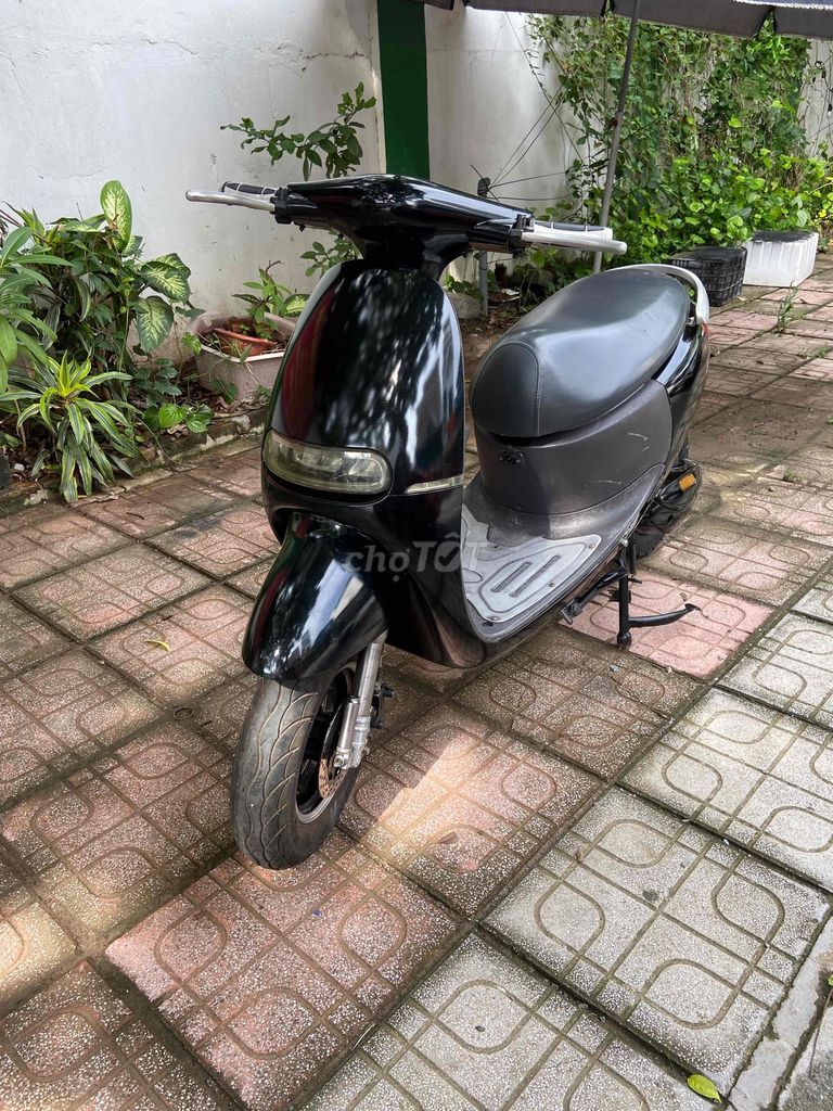 Xe 2020 - ảnh 1