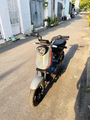 Xe m 2024 - ảnh 1