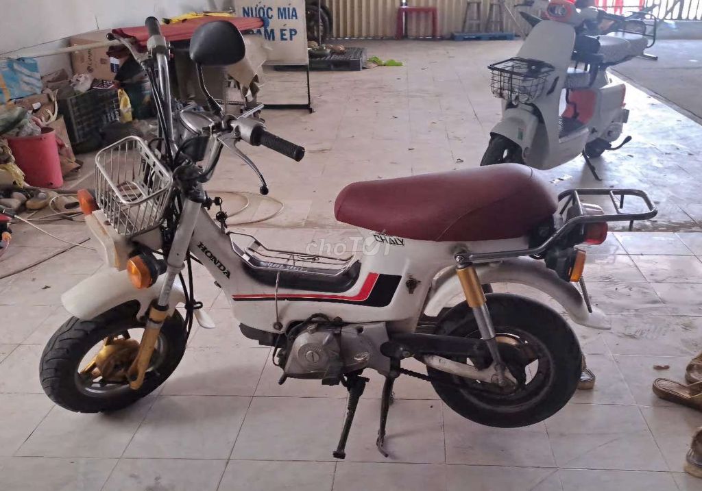 Honda Chaly 1981 - ảnh 1