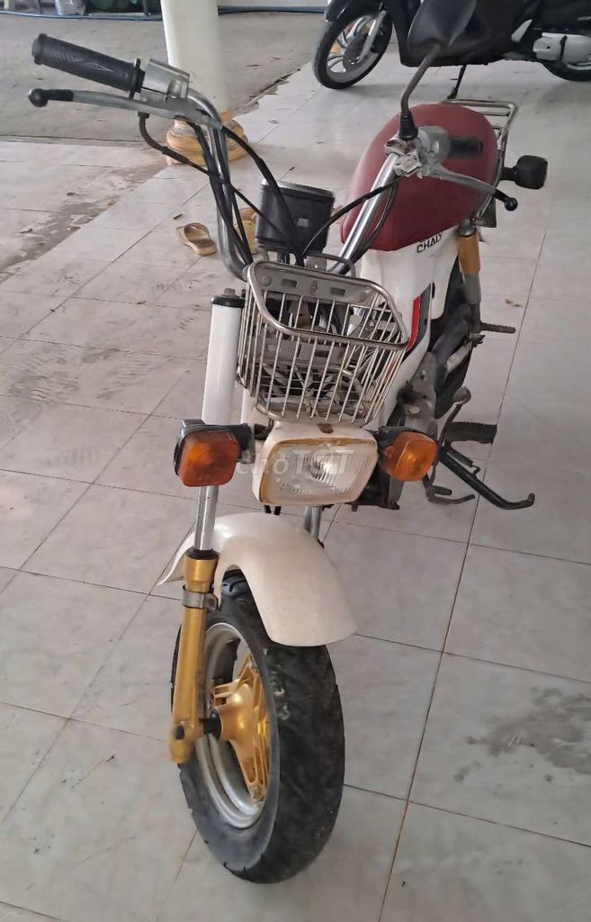 Honda Chaly 1981 - ảnh 3
