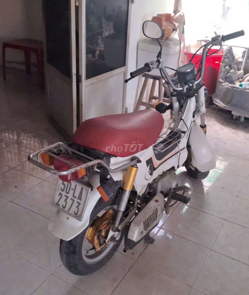 Honda Chaly 1981 - ảnh 4