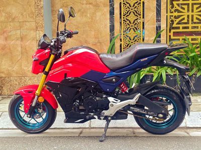 Honda MSX 2024 - ảnh 1
