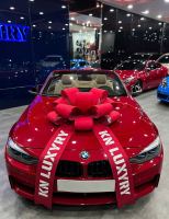 BMW 2019 - ảnh 1