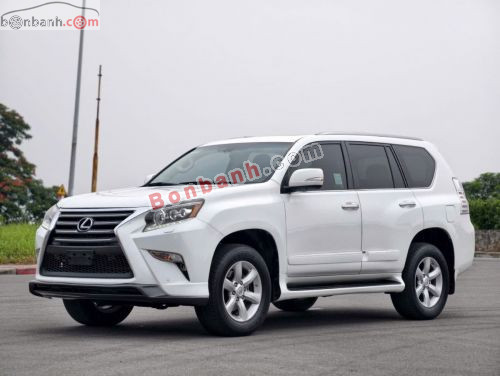 Lexus GX 460 2010 - ảnh 3