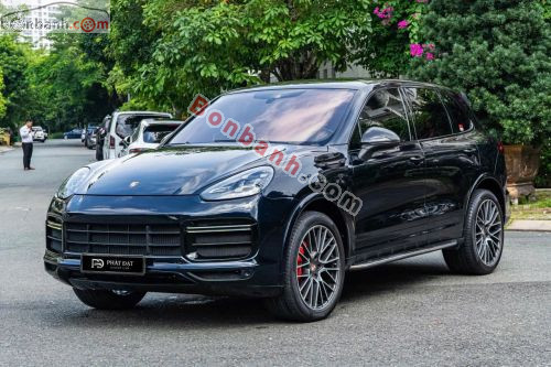 Porsche Cayenne 3.6 V6 2016 - ảnh 2
