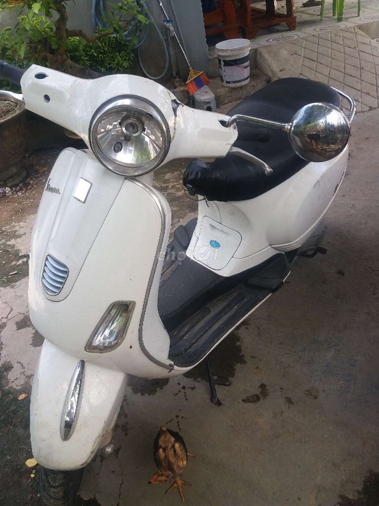 Piaggio Vespa 2013 - ảnh 5