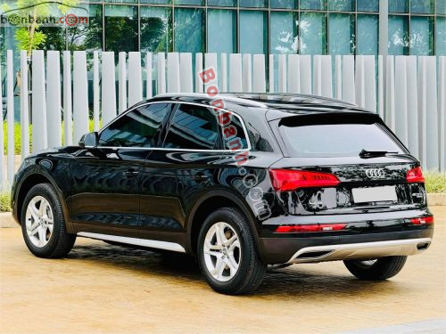 Audi Q5 2.0 AT 2018 - ảnh 3