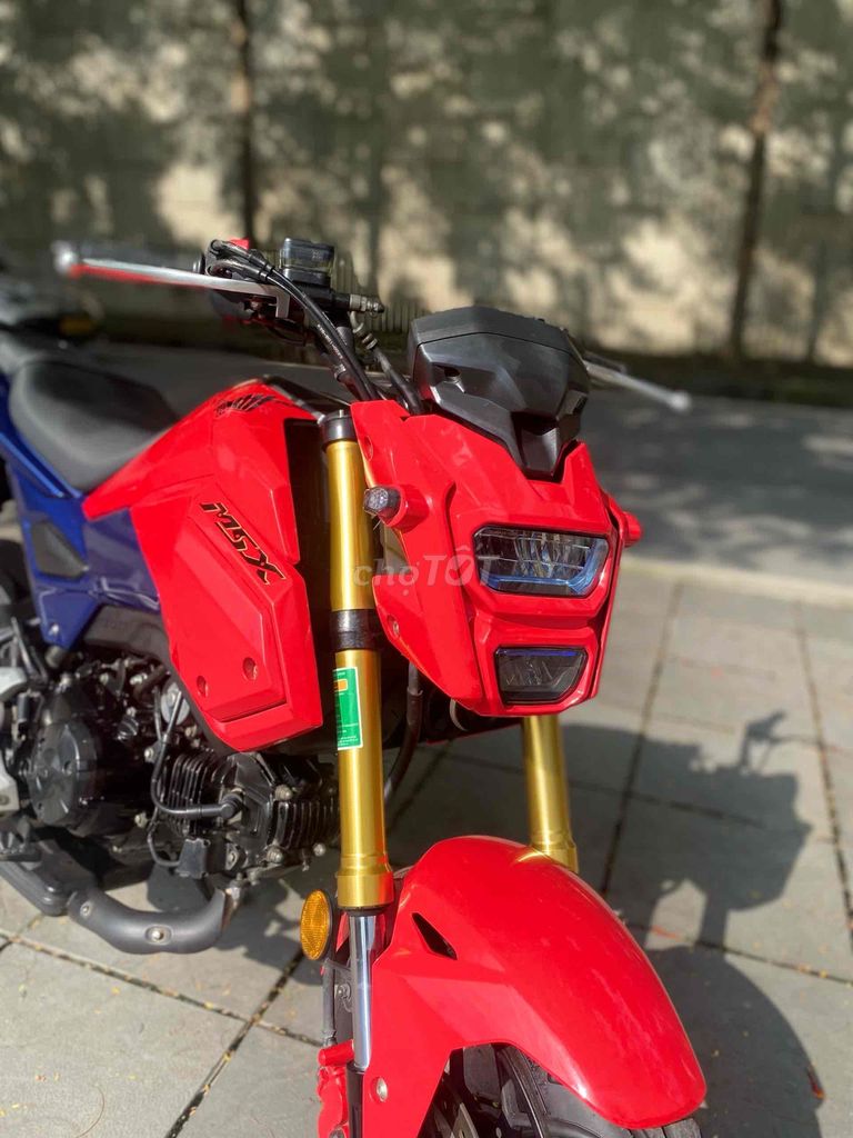 Honda MSX 2021 - ảnh 1