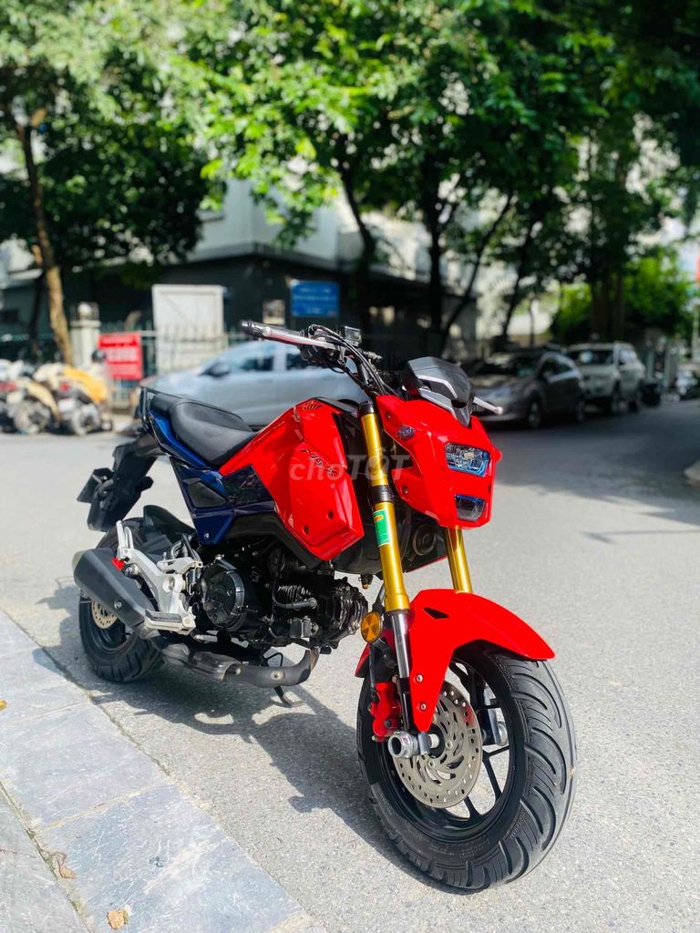 Honda MSX 2021 - ảnh 2