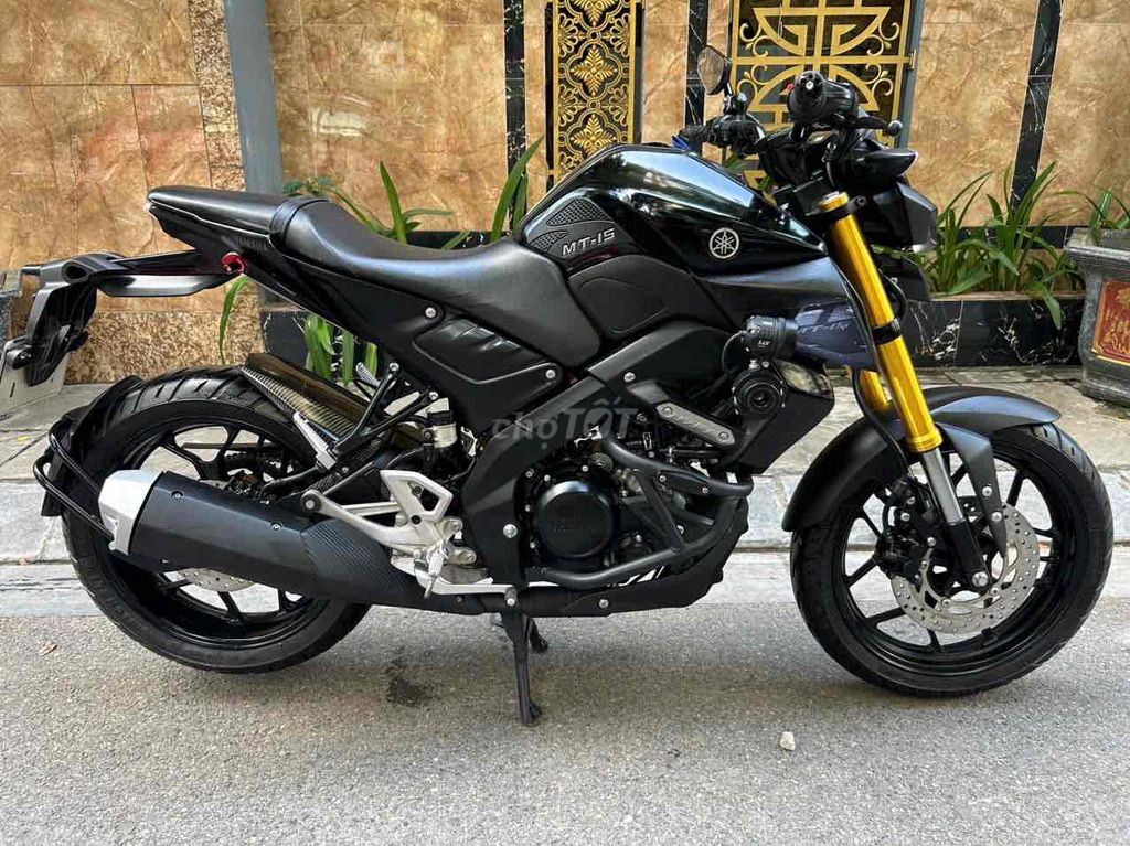 Yamaha - ảnh 2