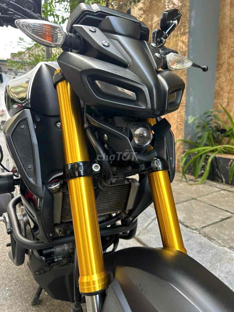 Yamaha - ảnh 5