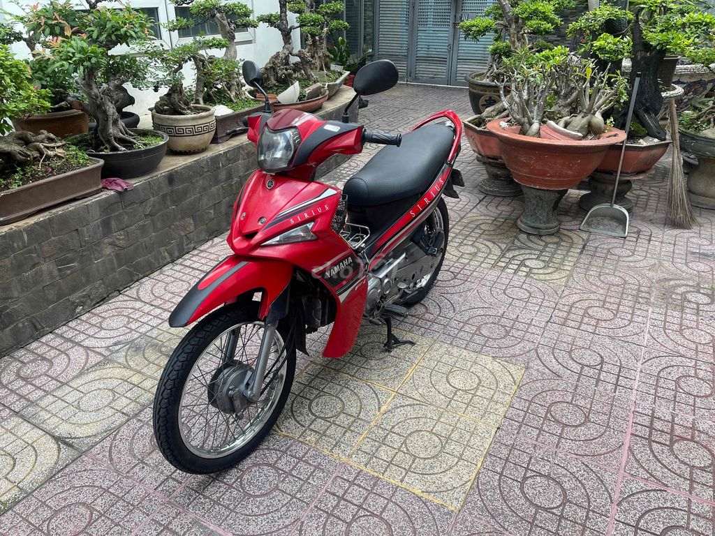 Bán 2019 - ảnh 2