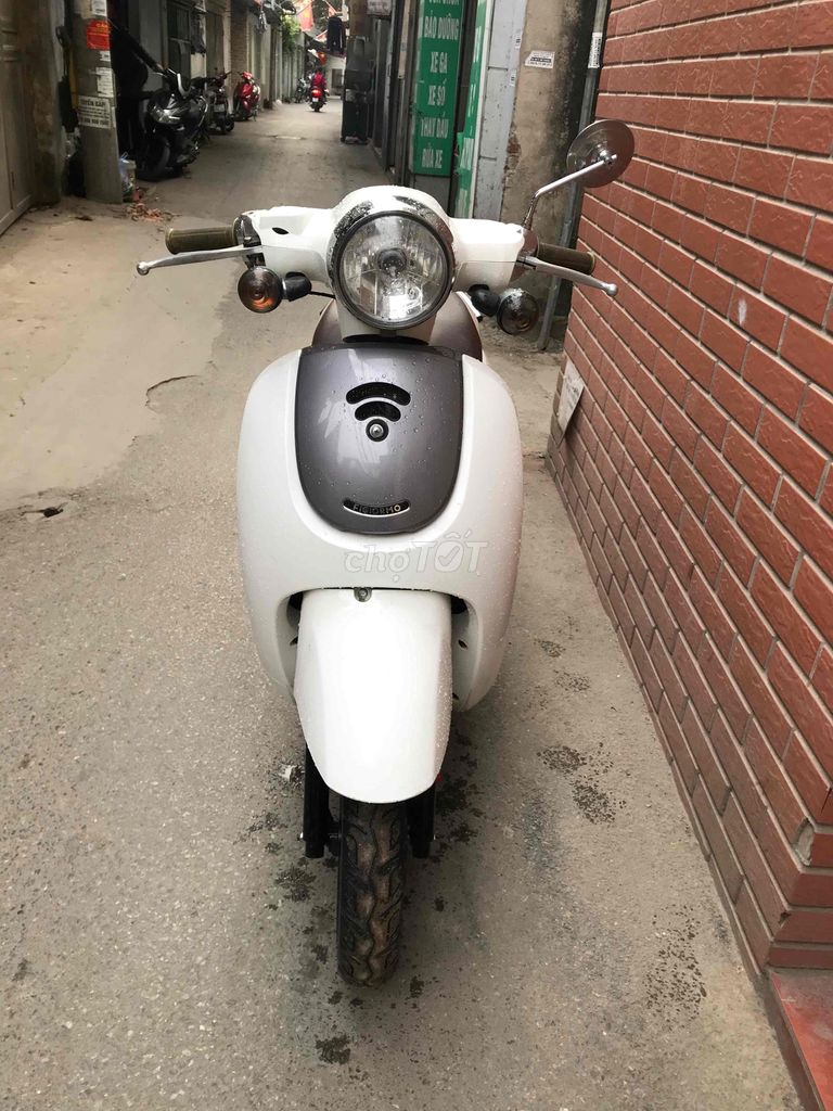 xe scoopi 2022 - ảnh 1