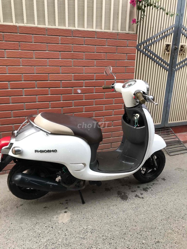 xe scoopi 2022 - ảnh 5