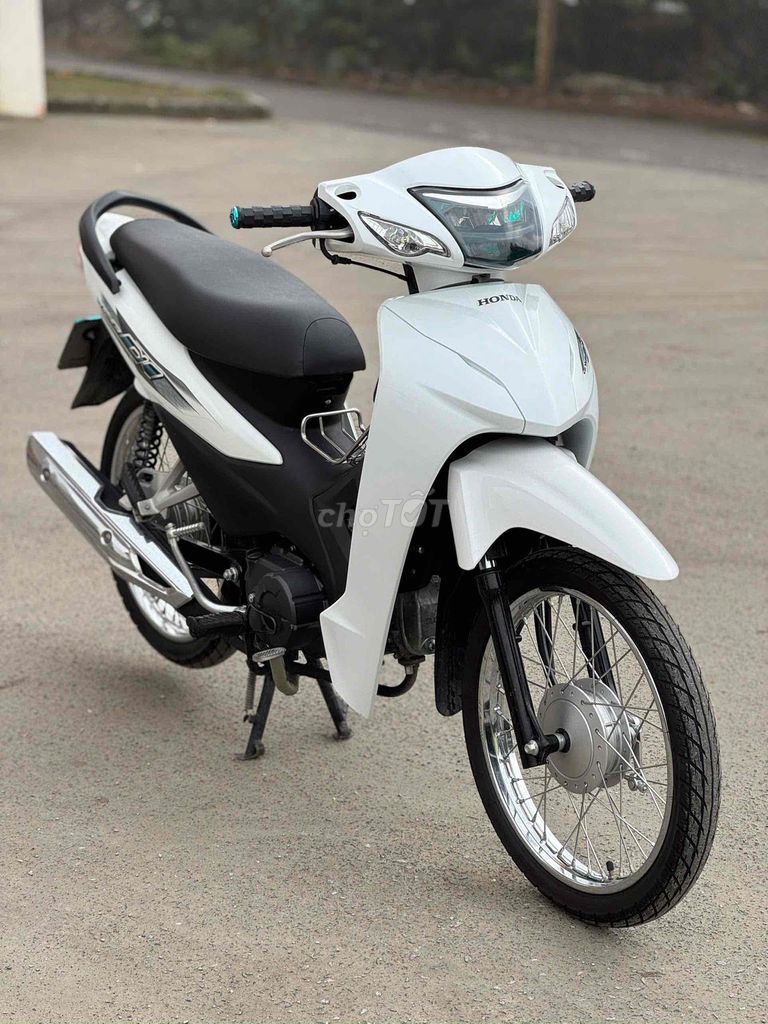 Honda Wave 2024 - ảnh 2