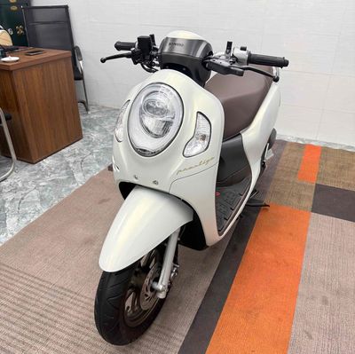 Honda Scoopy 2024 - ảnh 1