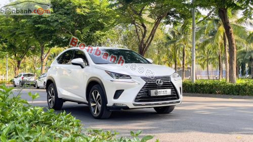 Lexus NX 300 2019 - ảnh 1