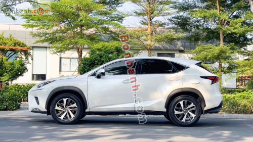 Lexus NX 300 2019 - ảnh 2