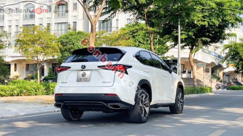 Lexus NX 300 2019 - ảnh 3