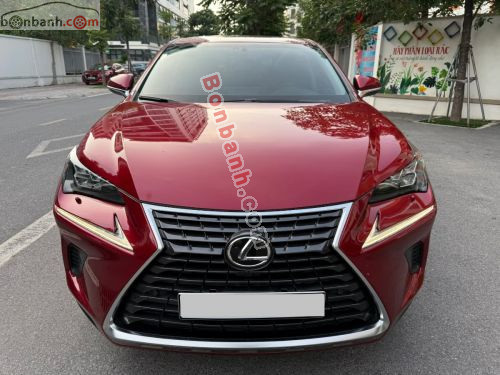 Lexus NX 300 2019 - ảnh 1