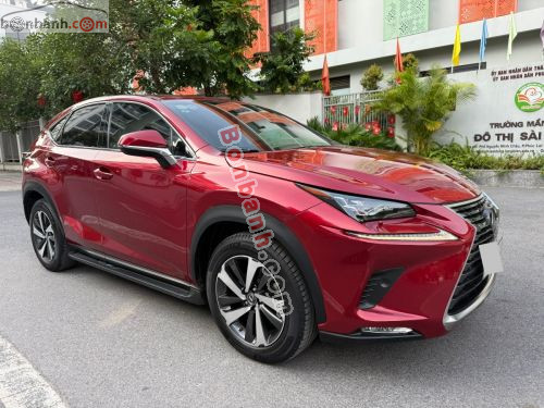 Lexus NX 300 2019 - ảnh 2