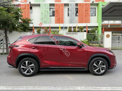 Lexus NX 300 2019 - ảnh 3