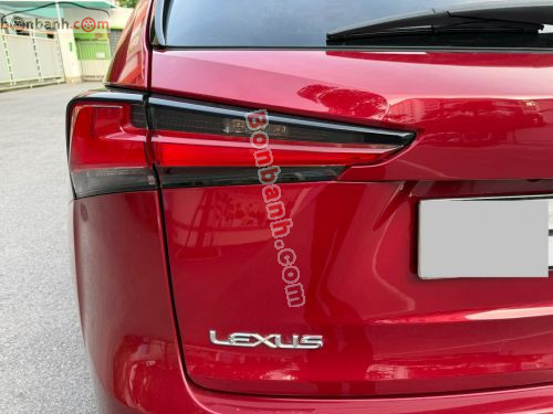 Lexus NX 300 2019 - ảnh 5